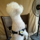 마산가든 이미지