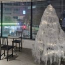 [대전 카페] 크리스마스 트리도 감각적인 둔산동 &#34;숍피비&#34;