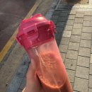 690 | [내돈내산 리뷰] 락앤락 프로쉐이커 690ml 1+1 솔직 후기 💪✨