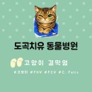 도곡치유동물병원 이미지