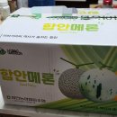 선이네과일 - 남동구 인주대로888번길 27 | 선이네멜론 백자 멜론 6시내고향 소개된 함안 멜론 후기
