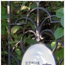 장수서창동-18 | 인천 남동구 서창동 2024년 9월 18