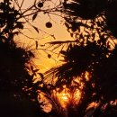 부영농장 이미지