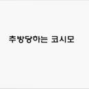코시모 이미지