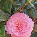 모라백양공원 이미지