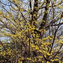 주소 공원 이미지