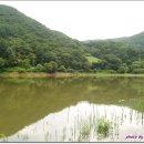 산천초목 이미지