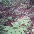 가야농장 이미지