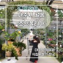 경기꽃화훼 | [파주/월롱] 식집사들의 천국! 대형 화훼농원 조인폴리아 방문 후기