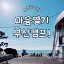 월드클래스 태권도장 | 1월 현장학습캠프 : 부산아쿠아리움 그리고 부산벡스코상상체험키즈월드 다녀온 진해 용원동 어린이들