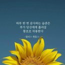 날마다새날