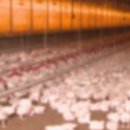 동남농장4 이미지