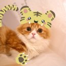 대방동물병원 이미지