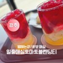 별헤는강
