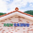 자양보오토캠핑장 네이버블로그