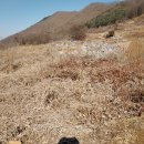 대전리농장 이미지