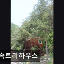숲속트리하우스 | 영월 숙소 추천 숲속트리하우스 영월 숲속트리하우스, 힐링에 최적
