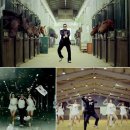Royal Saddle Equestrian Society 네이버블로그
