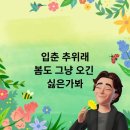 와동상사 | 리무진 개조 장애인 휠체어 슬로프(리프트,경사로) 중고차~인천 서창 고객님께 매입한 후기입니다~~^^
