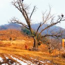 내리1리 마을회관 티스토리