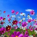 자미원농장 이미지