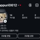 hododog(호도독) 네이버블로그