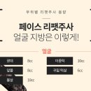 압구정-110 | 압구정지방분해주사 리팻주사 안전성 효과 통증 정보 후기