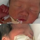 고운나라 이미지