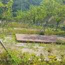 임하호수상레저타운 캠핑장 이미지