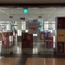 서울파피루스 이미지