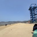 다츠도츠