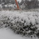 엔티크 PC방 이미지