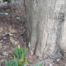 유현목장 이미지