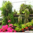 정읍 우체국 이미지