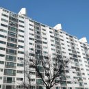 노원로(동측) 이미지