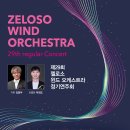 제29회 정기연주회 이미지