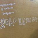 떳다돼지마을