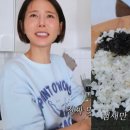 김밥은 티스토리
