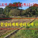 매물번호:1000-190,음암문양리 계획관리지역(전)면적 1,384㎡(418평)매매가3.3㎡당33만원 이미지