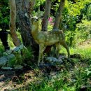 고미재펜션 이미지