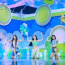 스타케이피시방 이미지