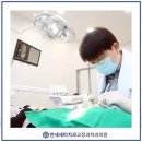 문정치과의원 이미지