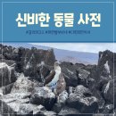 갈라파고스 산크리스토발 키커락 투어 후기
