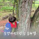 숲해설체험 | 대구 근교 칠곡 자연휴양림 숲해설 체험 후기
