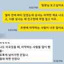Song Story's | [블레넘] 뉴질랜드 워킹홀리데이 회고: D+153 (일을 저지르고 후회하는구나 너는)