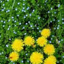 뜰아래솔바다 이미지