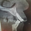 서울이웃치과의원 이미지