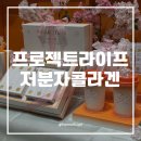 샐러리라이프 | 피부 건강을 위한 데일리 습관: 프로젝트라이프 저분자 콜라겐 구매 후기