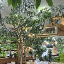 윤한의원 | 🌿 성창한의원: 임신 한약 / 나팔관 조영술 초음파로 확인하며 진행!/ 삼신아이플래닛주차