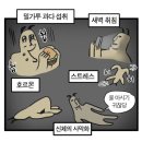 데프짐 이미지